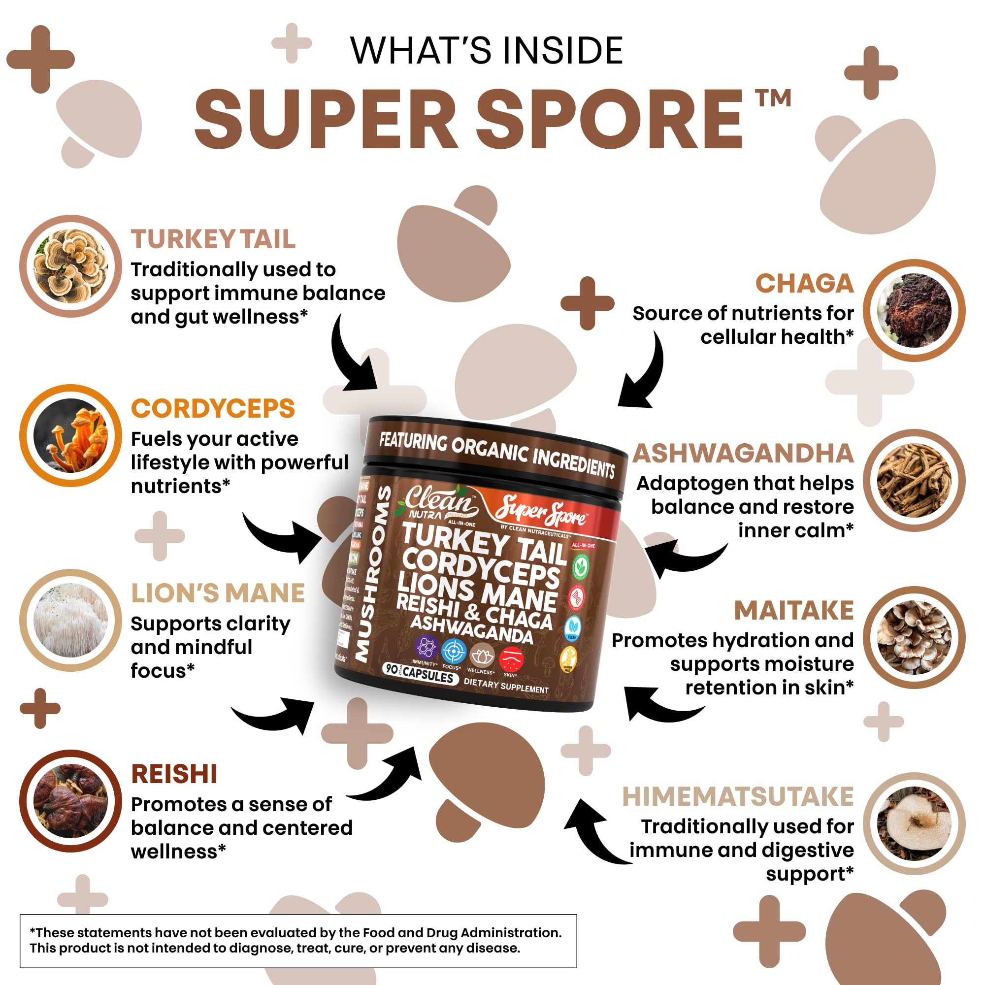 Reishi, chaga, and agarikon mushroom extract capsules