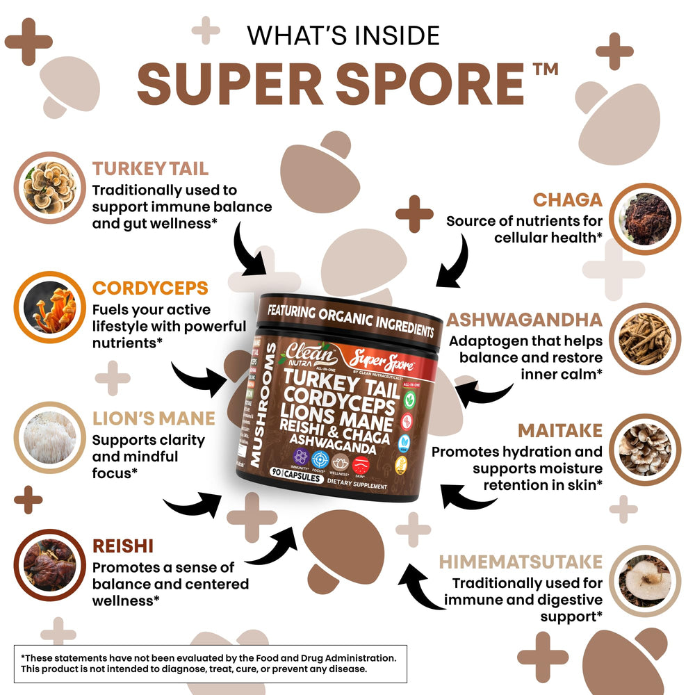 Reishi, chaga, and agarikon mushroom extract capsules