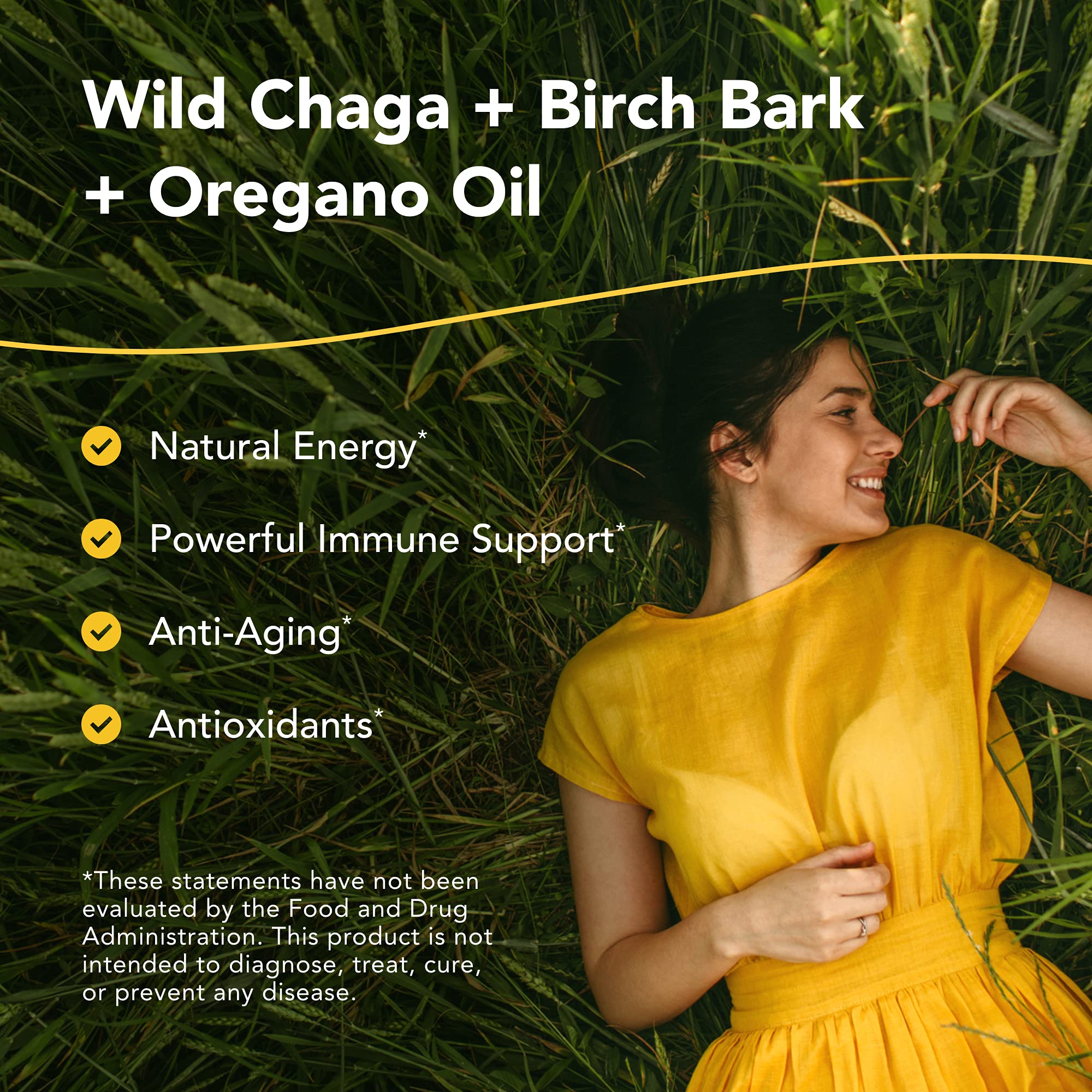 ChagaMax capsules close-up