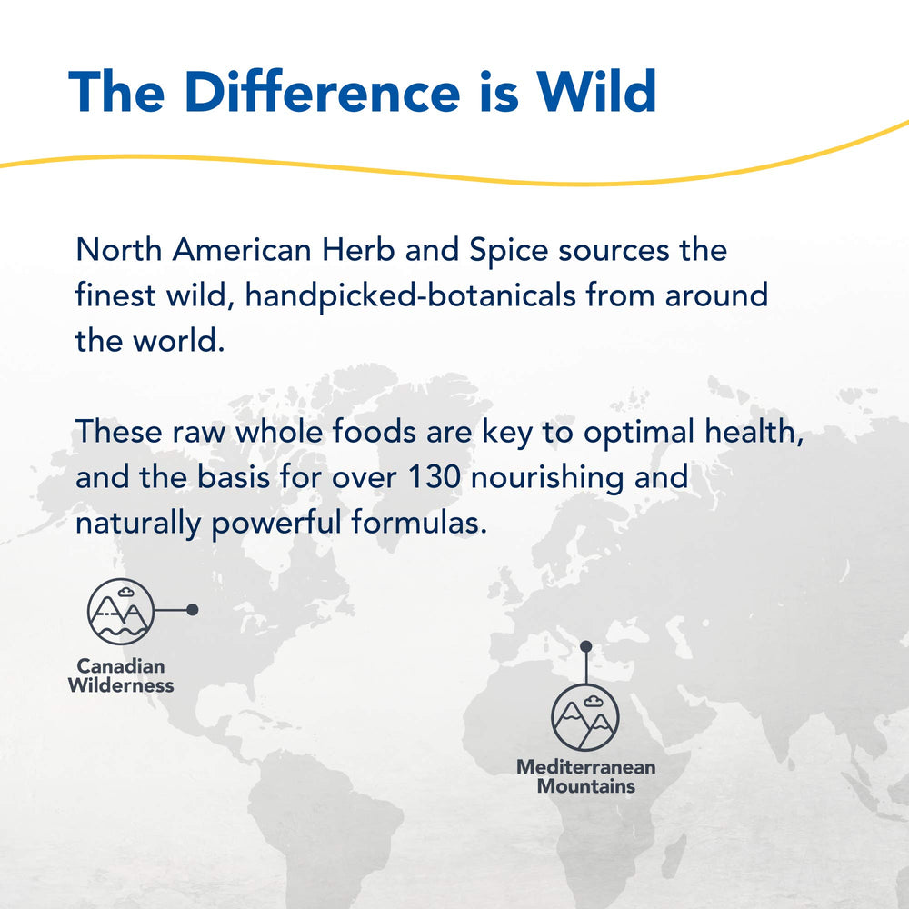 Non-GMO and 90 servings badge on bottle