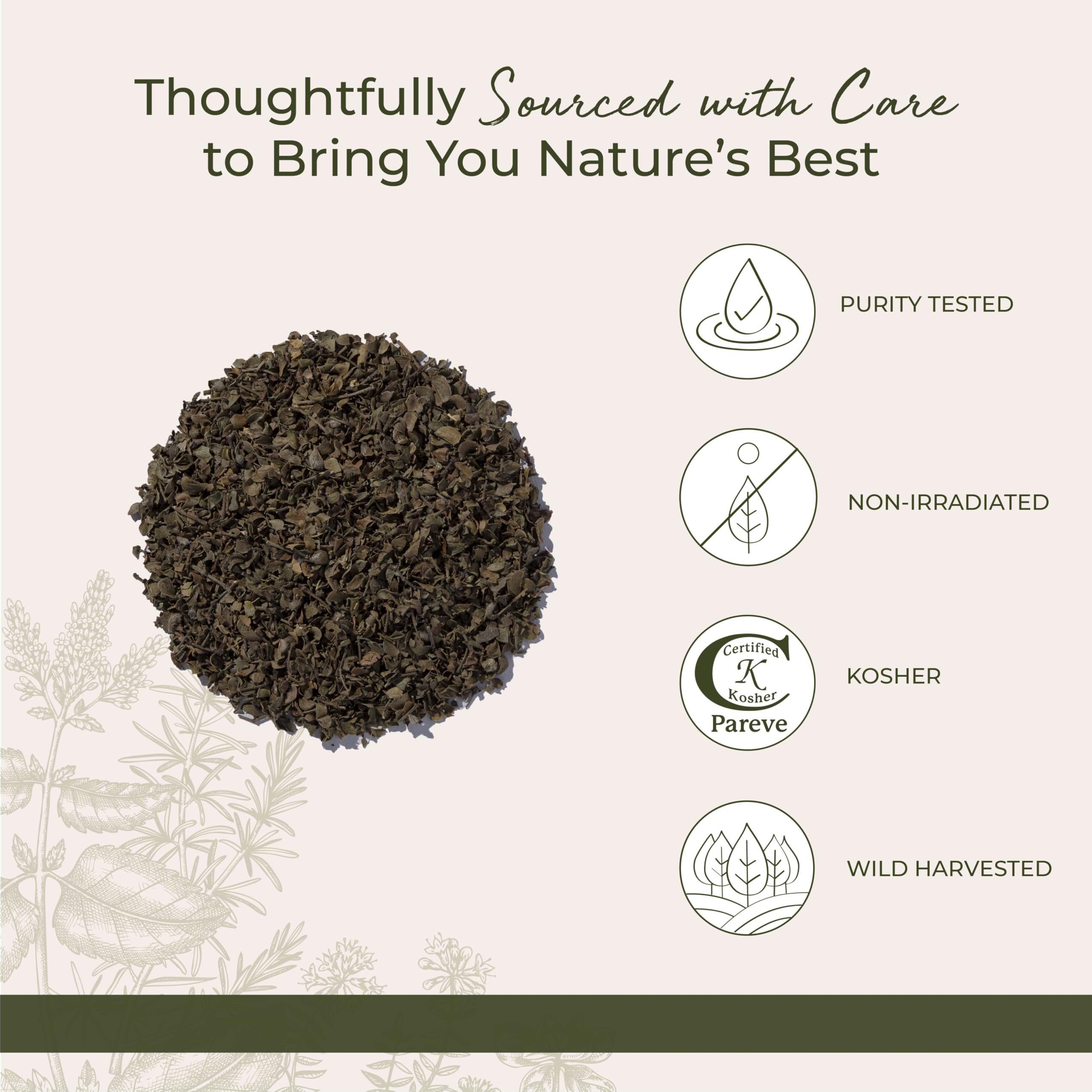 Cup of tea with steeped chaparral leaf infusion
