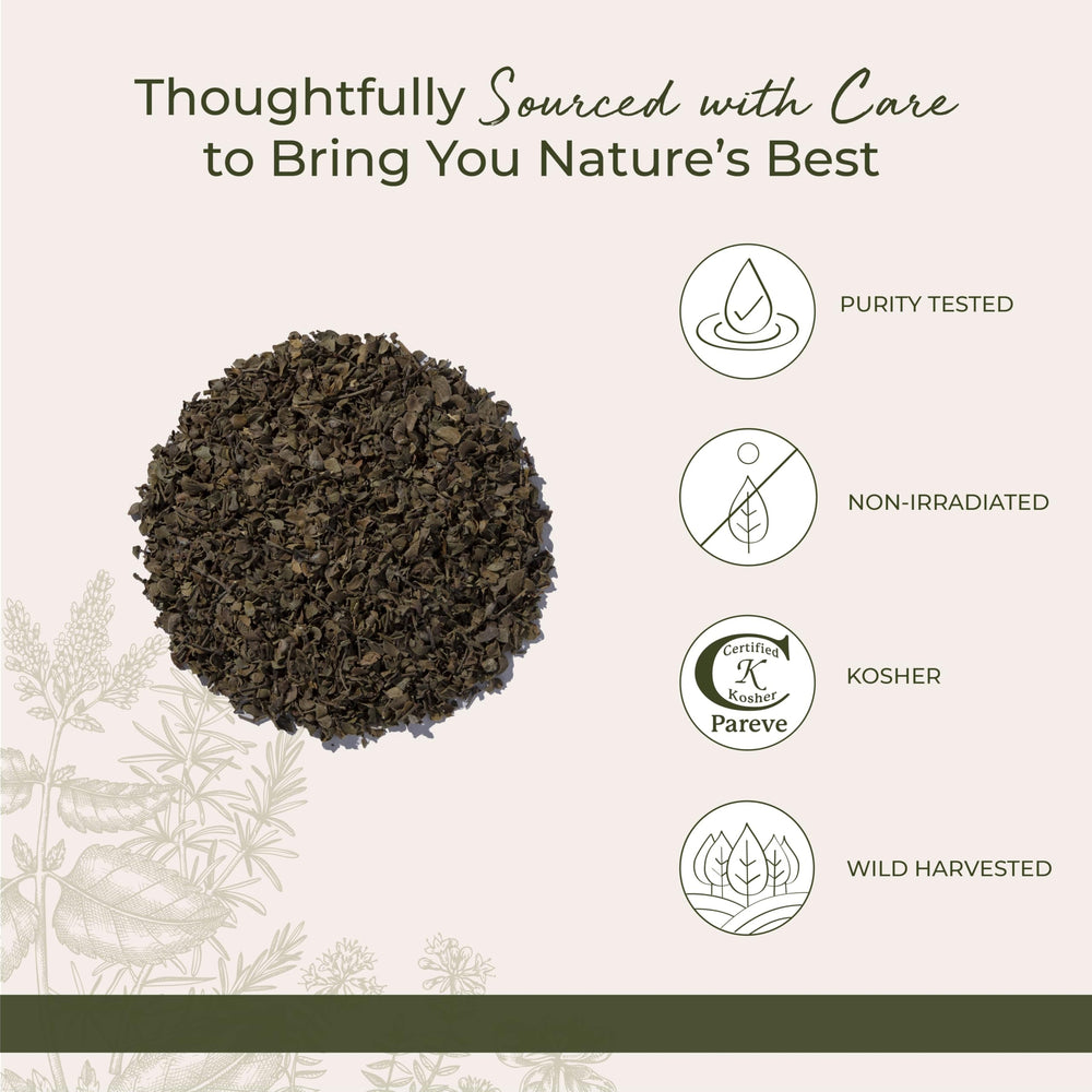 Cup of tea with steeped chaparral leaf infusion