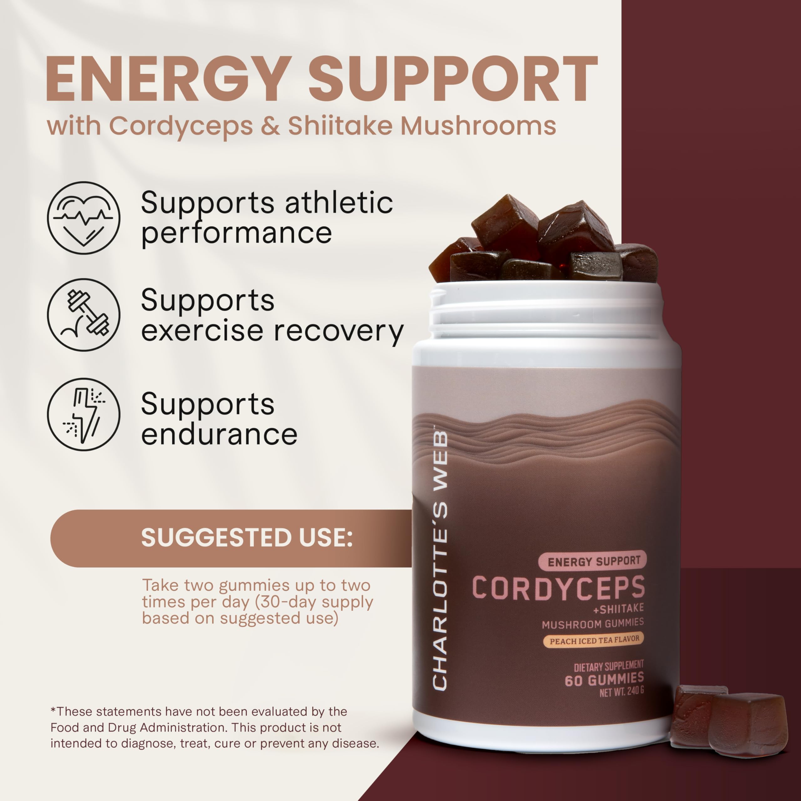 Shiitake extract close-up label highlighting 1200mg per serving