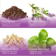 Chaste tree berry (chasteberry)