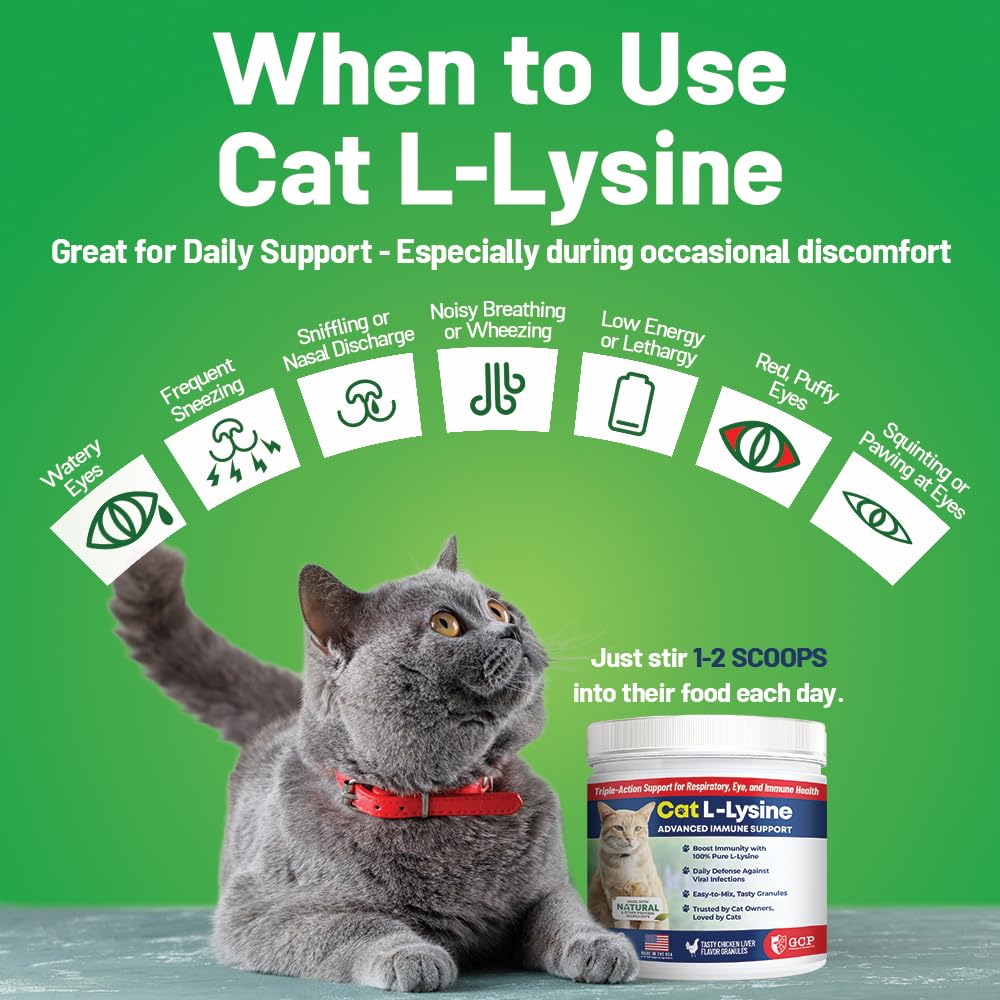 Close-up of chicken liver-flavored L-Lysine powder granules