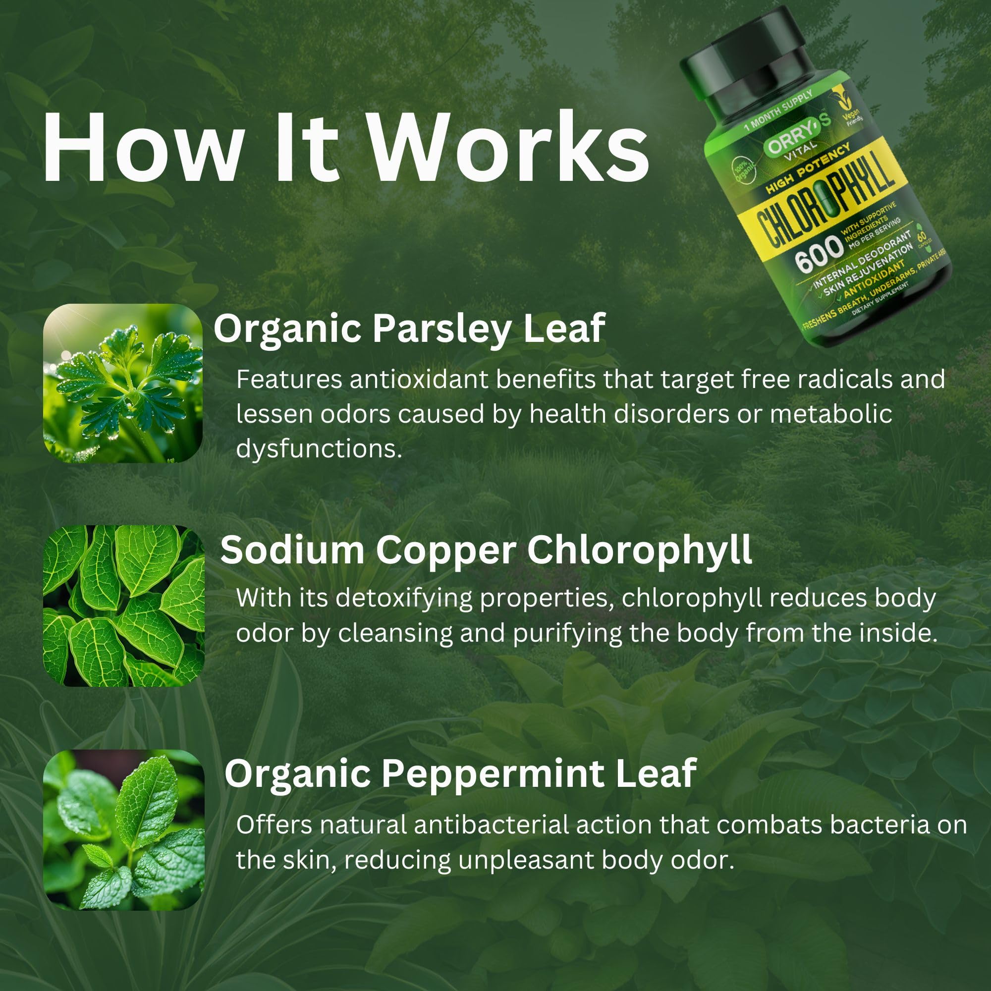 Chlorophyll capsules for women internal deodorant
