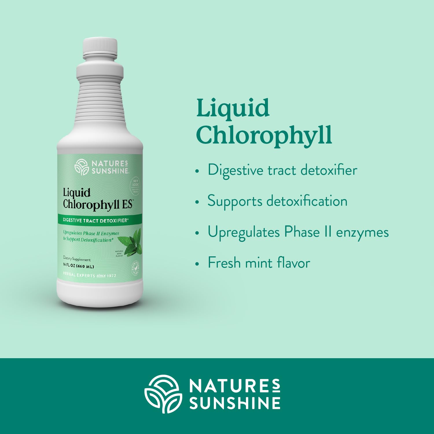Chlorophyll drops added to a glass of water for serving