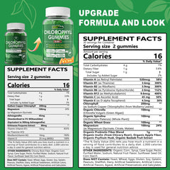 Ingredients listing for Chlorophyll Gummies 18-IN-1