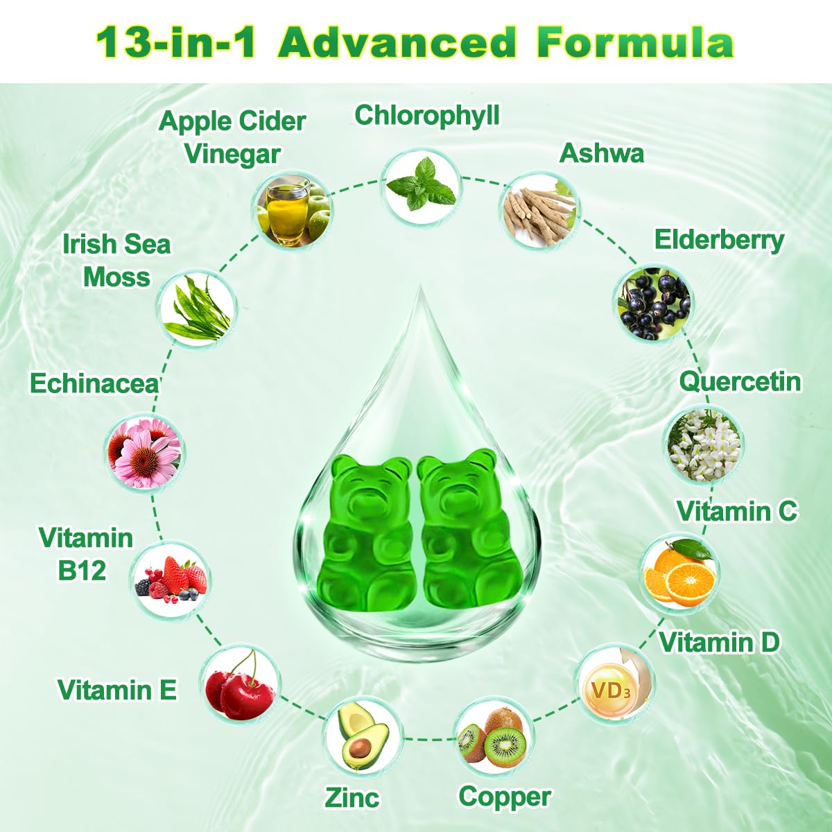 13 in 1 ingredients visual including elderberry, echinacea and vitamins