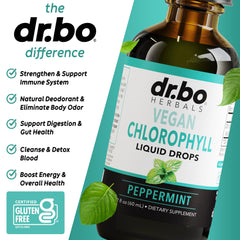 Healthy lifestyle image featuring vegan chlorophyll liquid drops