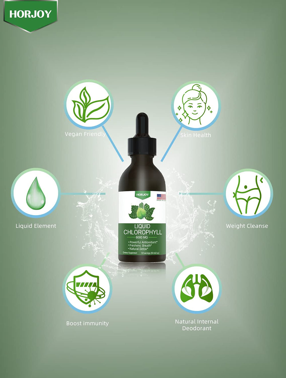 Pack of 1 bottle of Chlorophyll Liquid Drops