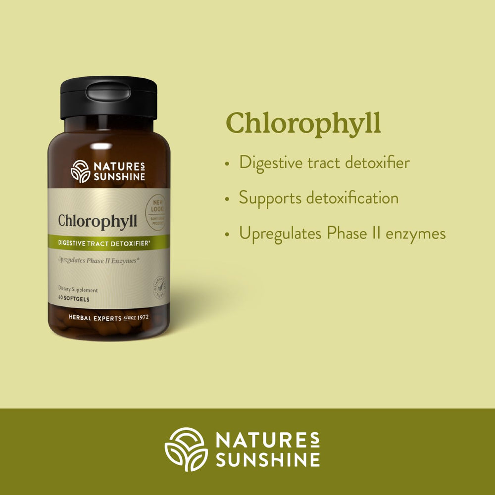 Chlorophyll softgel capsules container close-up