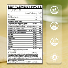 Close-up of ingredients: spirulina, chlorella, moringa, and chlorophyll.
