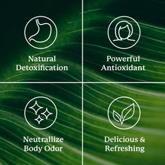 Glass of chlorophyll-infused water with sweet melon flavor