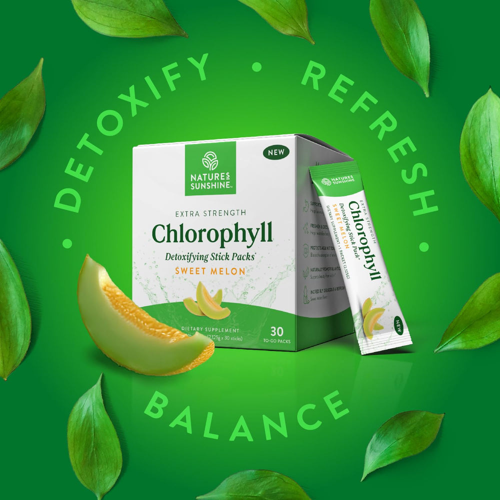 Illustration of body detox and immune support