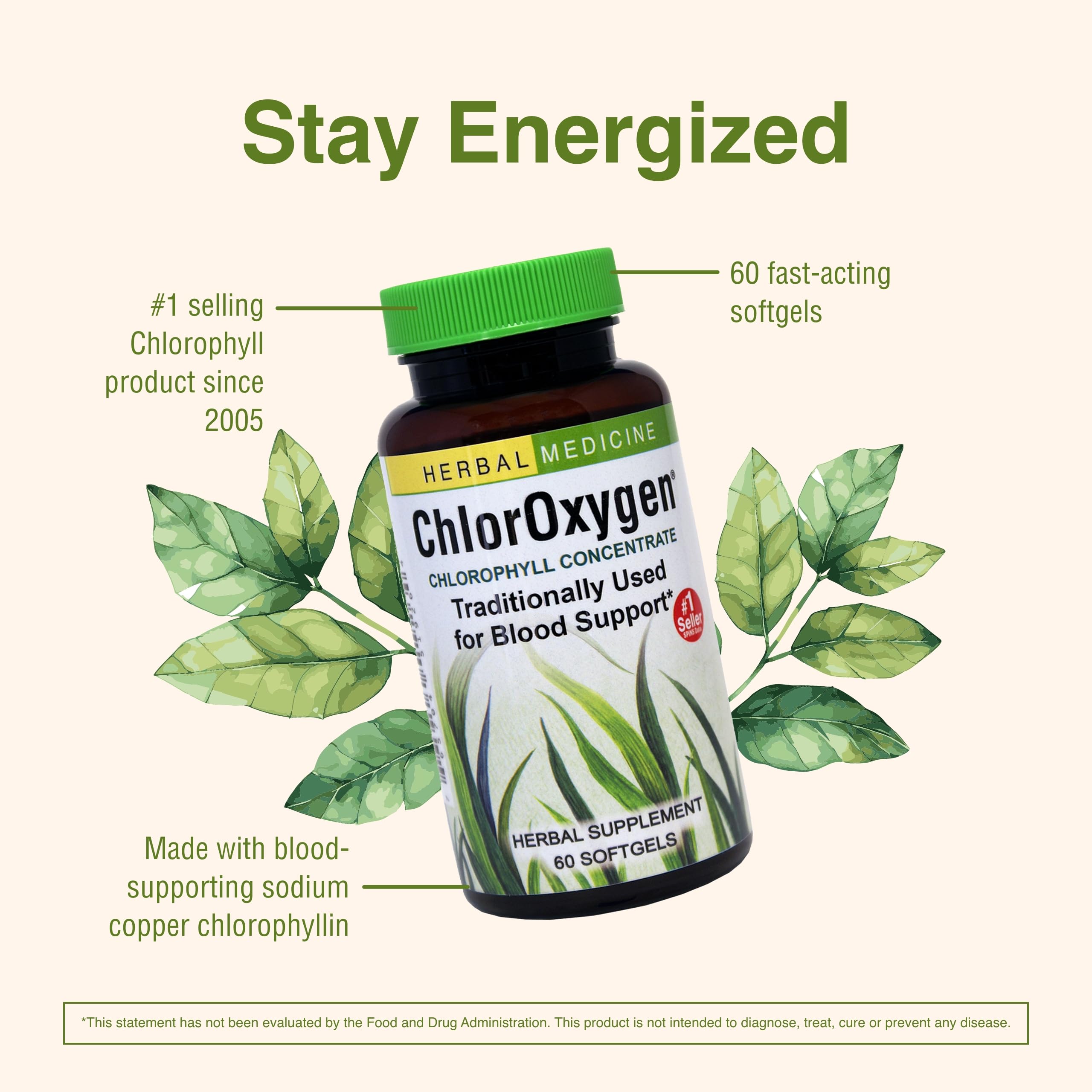 Graphic illustrating healthy blood circulation with chlorophyll concept