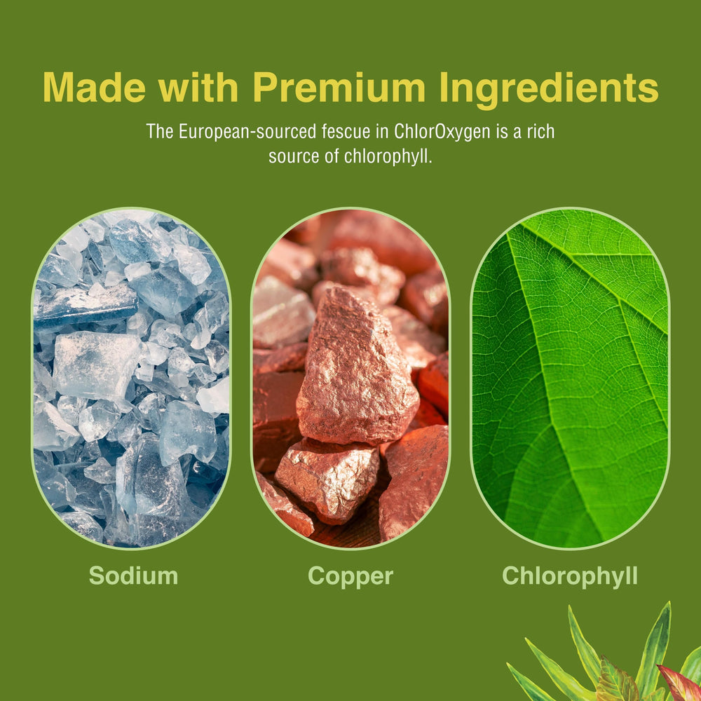 Ingredients panel for ChlorOxygen Chlorophyll Concentrate (European fescue-derived)