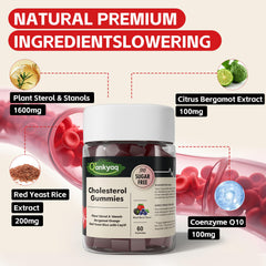 Illustration of plant sterols and stanols