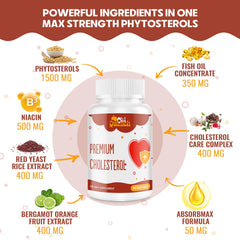 Ingredient lineup including Red Yeast Rice, Citrus Bergamot, Omega-3 and Garlic