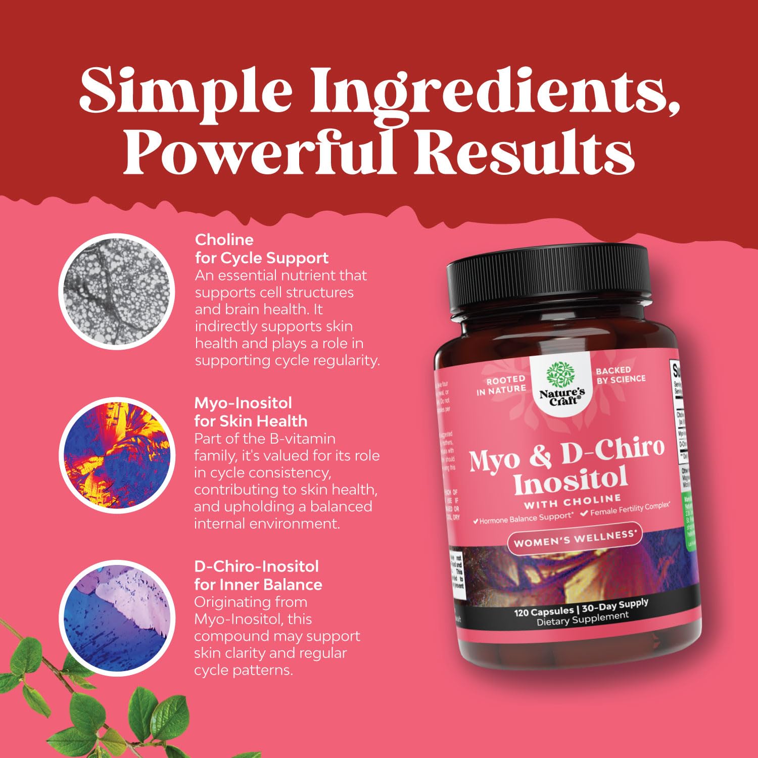 Choline Bitartrate supplement ingredient