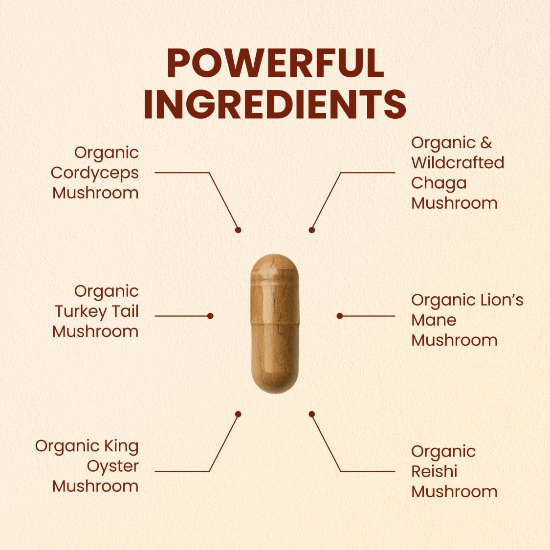Assorted organic mushrooms used in CHOQ blend