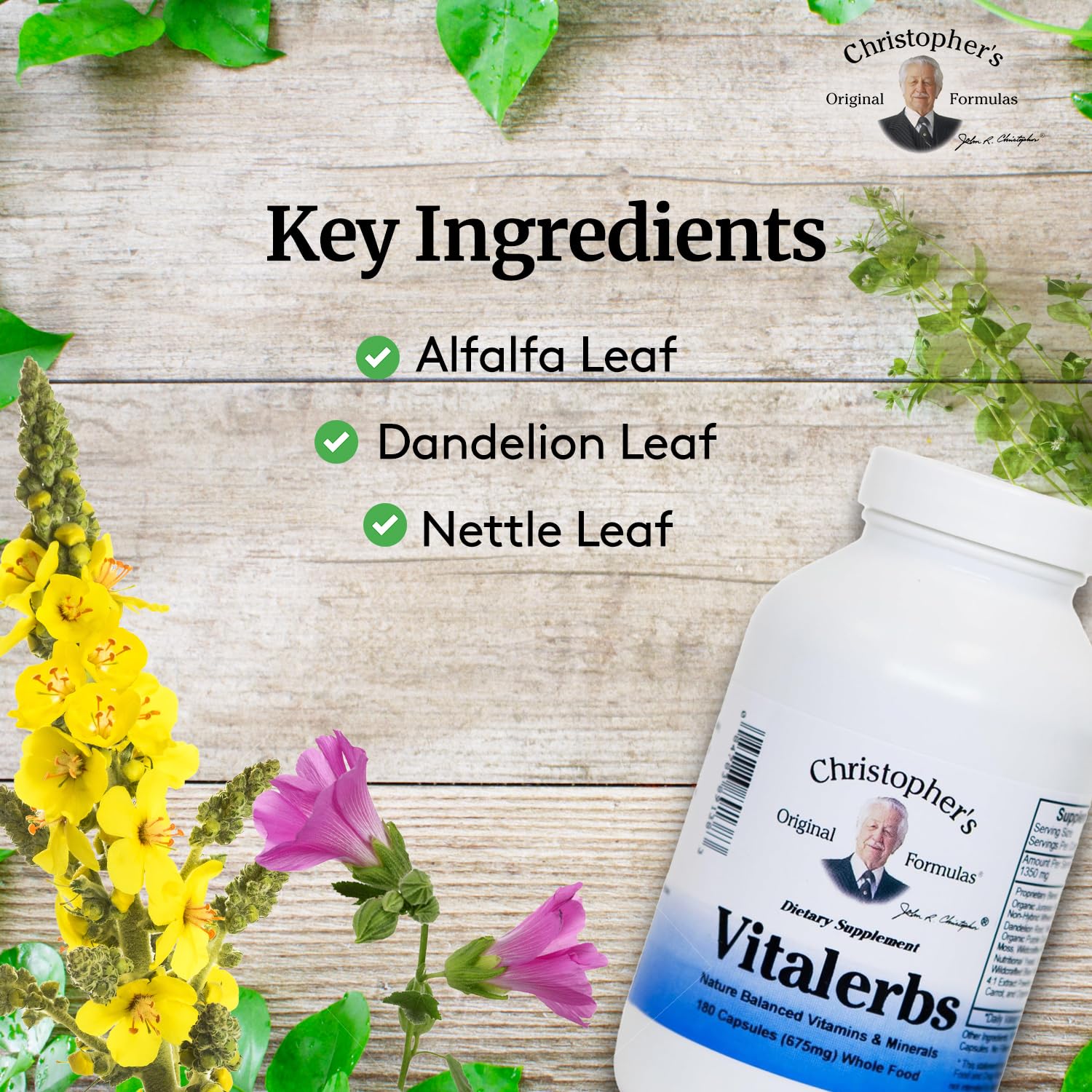 Close-up of Vitalerbs herbal ingredients including Alfalfa, Dandelion, Kelp and Spirulina