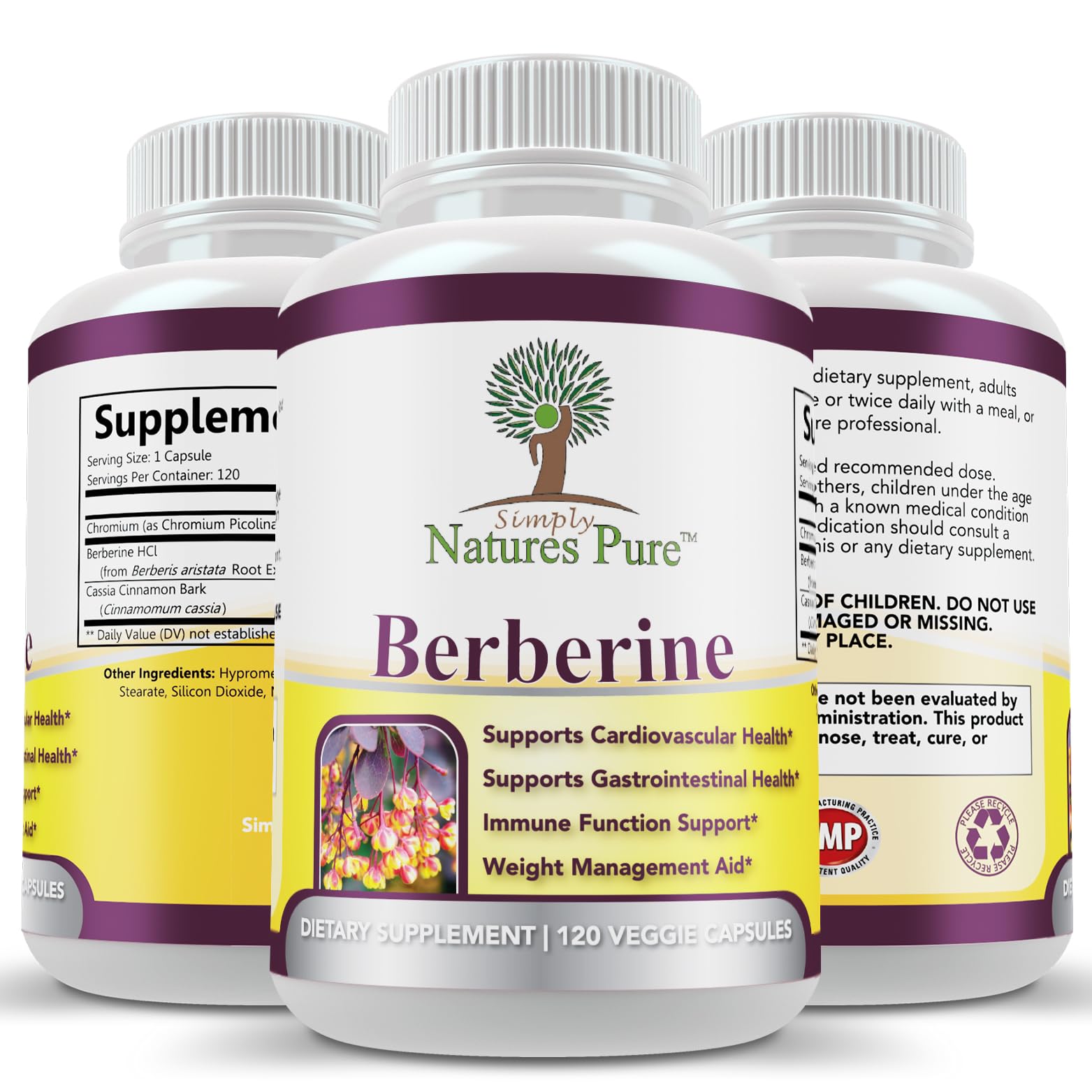 Graphic illustrating chromium and cinnamon with berberine ingredients