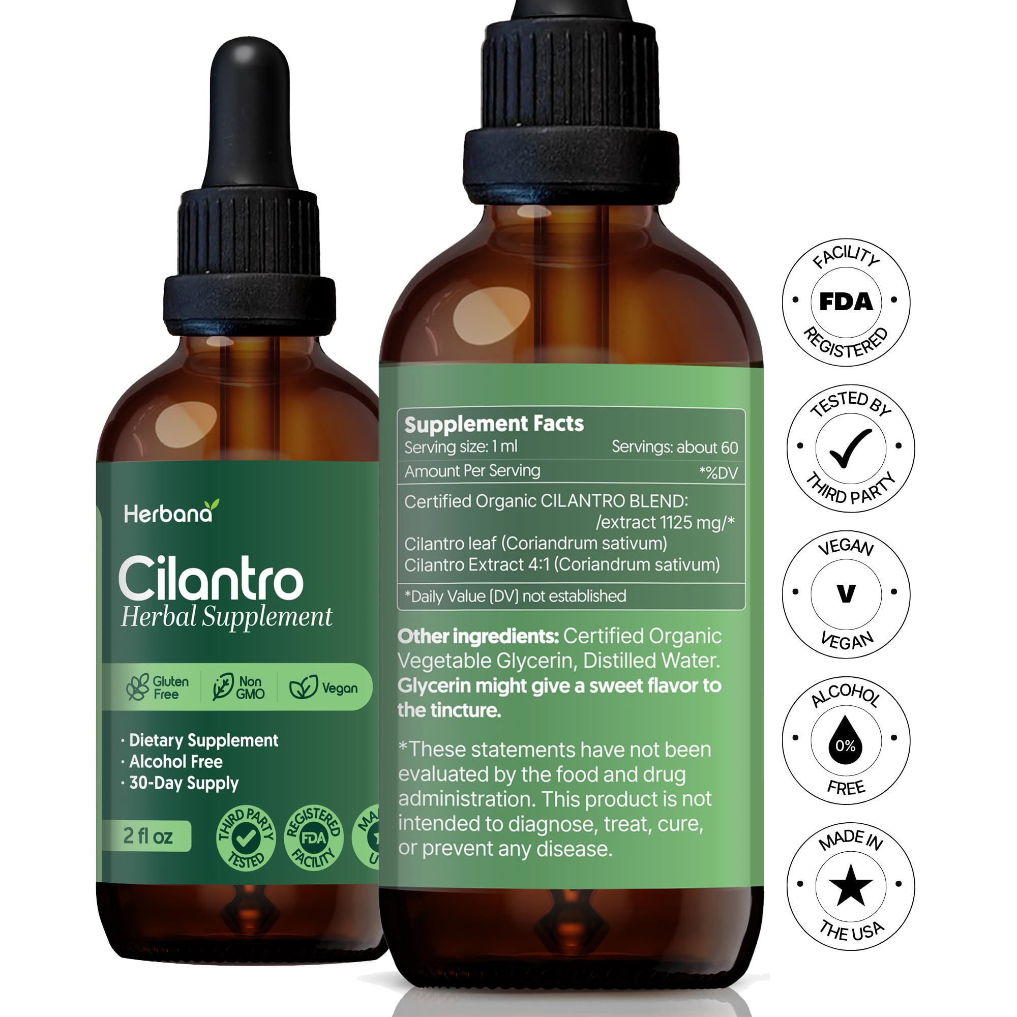 Fresh cilantro leaves representing organic Coriandrum sativum