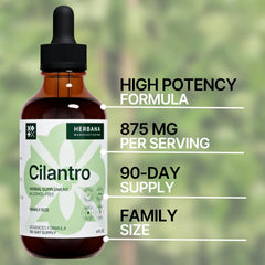 Dropper dispensing cilantro tincture into a glass of water