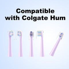Close-up of densely packed bristles on CILGEWH replacement head for Colgate Hum