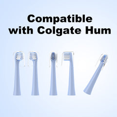 CILGEWH replacement heads compatible with Colgate Hum - packaging and heads