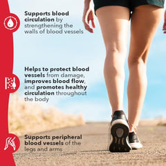 Graphic illustrating arteries, capillaries and veins with Circulari-T