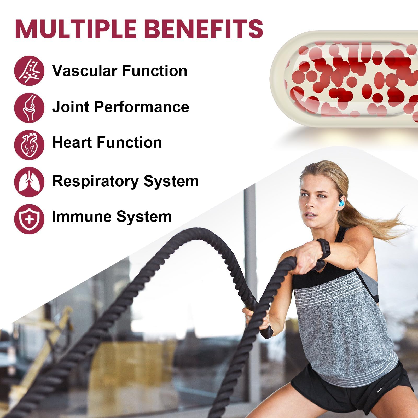 Supports circulatory and vascular function