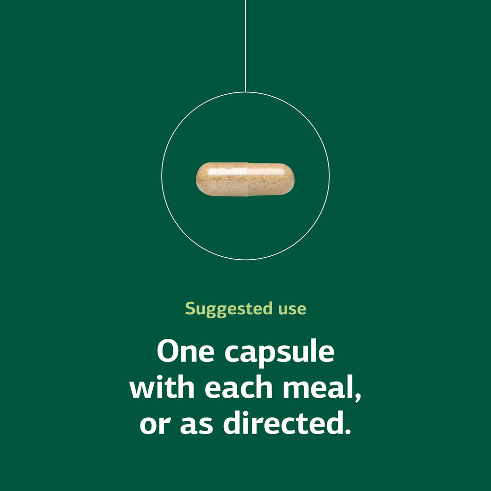 Graphic emphasizing Niacin & Vitamin B6