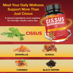 GMP and ISO certification logos on product label