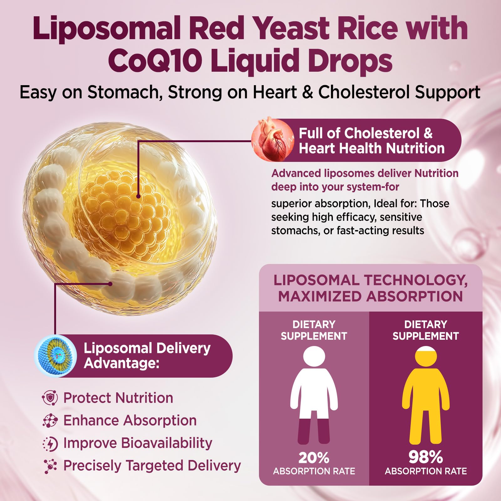 Illustration of citrus bergamot and CoQ10 ingredients