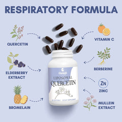 Illustration of liposomal delivery technology for quercetin