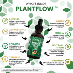 Chlorella and spirulina powering PlantFlow blend in the bottle