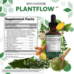 Matcha, cinnamon and holy basil within the Clean PlantFlow formula