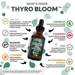 Iodine-rich kelp and minerals for thyroid health in drops