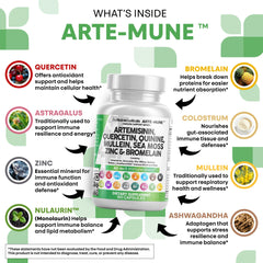 Quinine and Mullein Leaf ingredient illustration