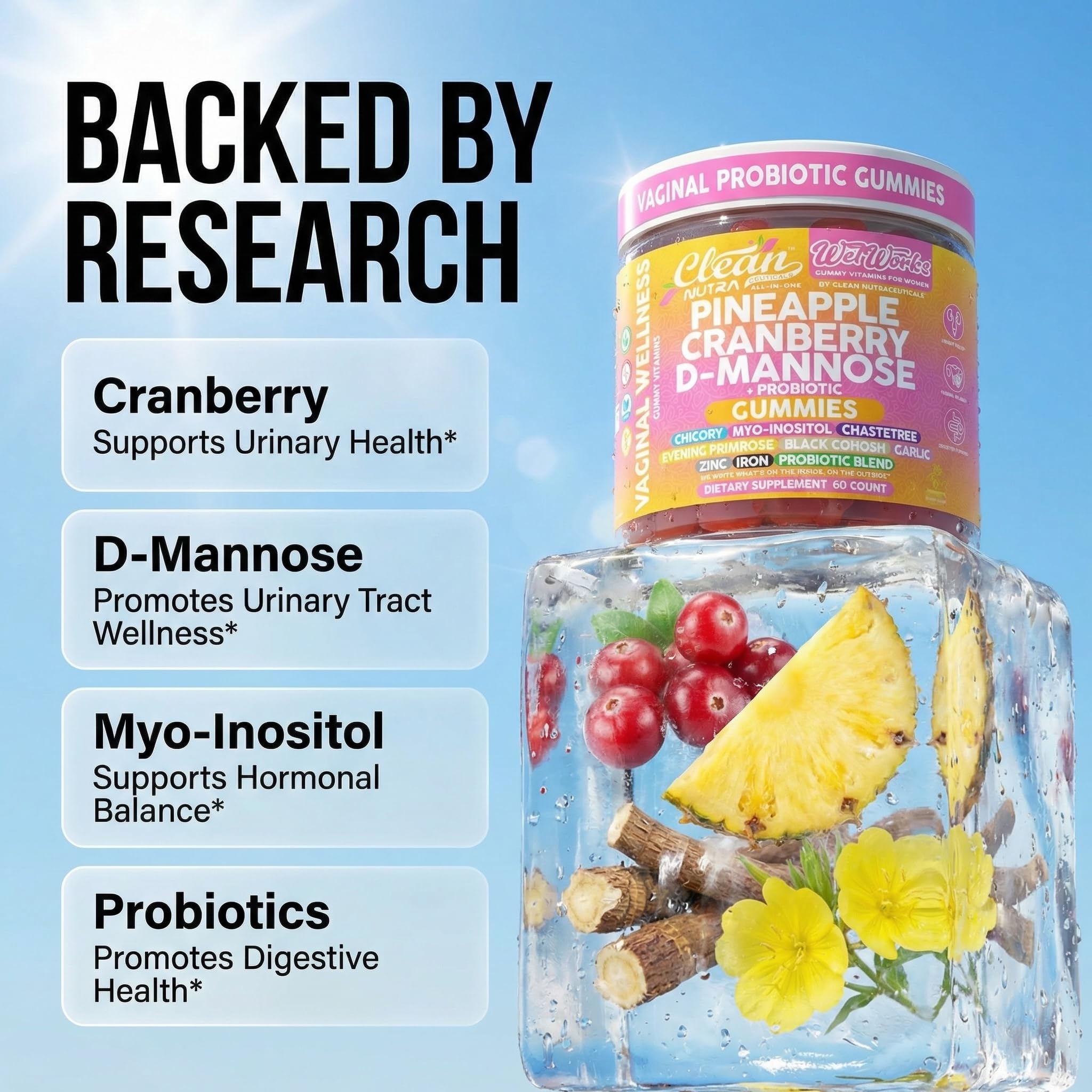 Assorted ingredients spread: cranberry, pineapple, chicory root representing Clean Nutraceuticals formulation