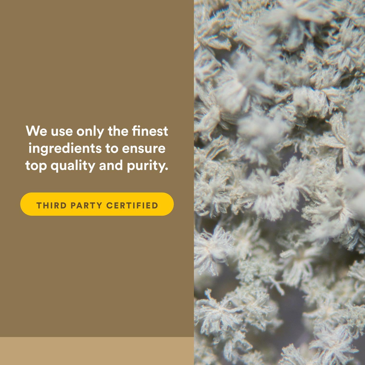 Usage guide showing mix of one scoop into water or beverage