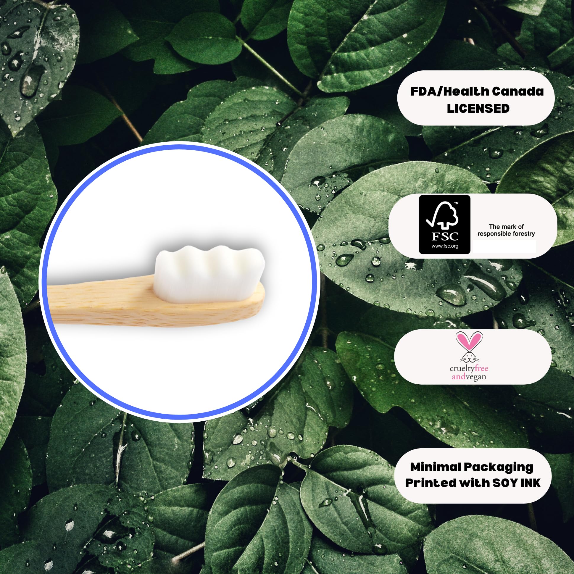 Close-up of ultra-soft 1000 nano bristles on a Cloud Brush toothbrush