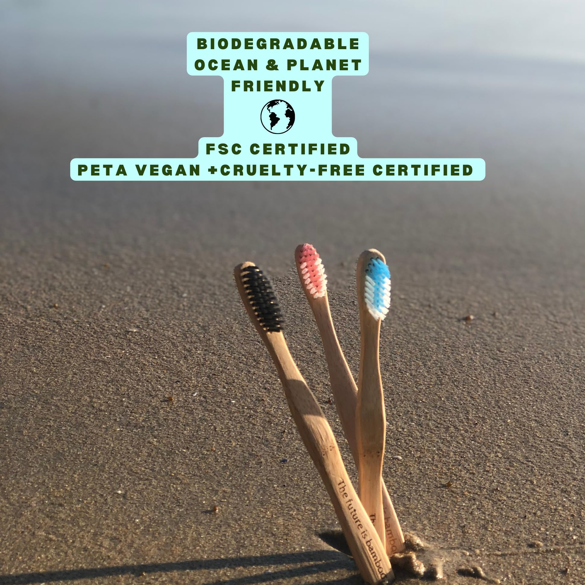 FSC-certified bamboo handle of Cloud Brush