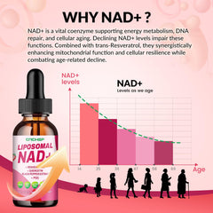 Sublingual administration of liposomal NAD drops