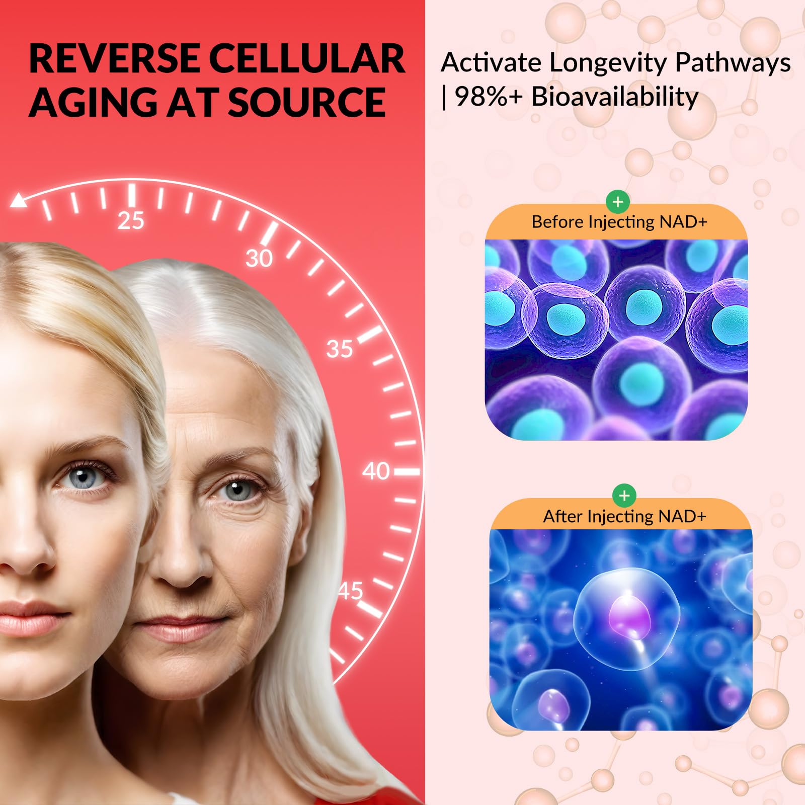 PQQ 20mg per serving for mitochondrial biogenesis