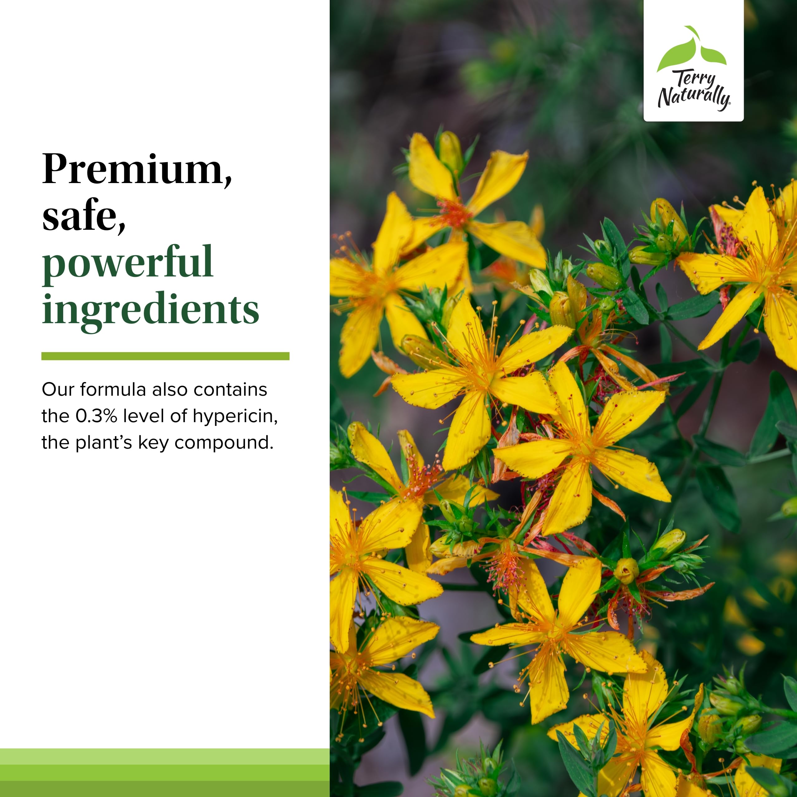 Coated tablets for easy swallowing