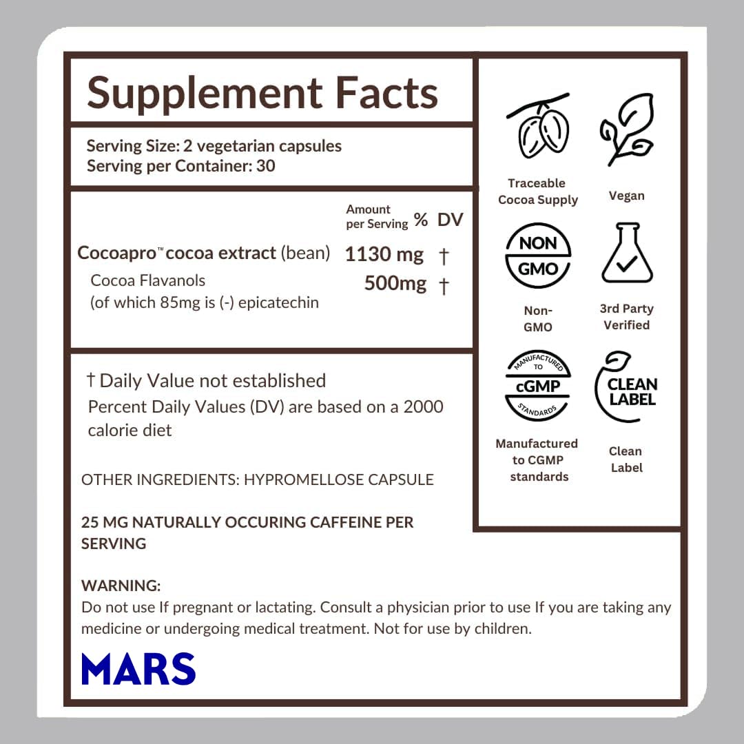 Dark chocolate flavored vegan supplement visuals