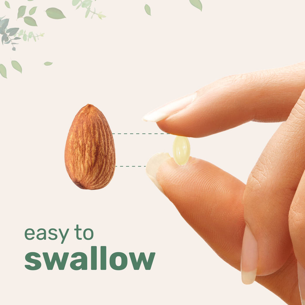 Softgel coconut oil carrier for improved absorption of K2 MK-7